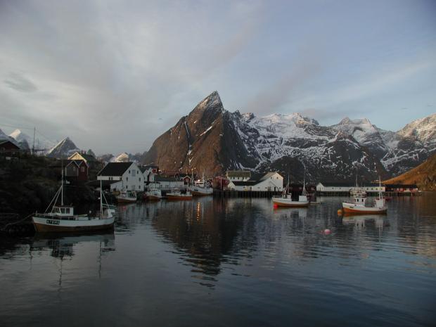 Hamn�y