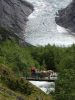 Fjordpferde in Aktion - vor dem Gletscher
