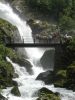 Fjordpferde in Aktion - vor dem Wasserfall