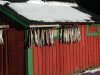 Die Sonne und der Fisch - im Licht der Mittagssonne h�ngt der Stockfisch zum Trocknen