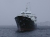 Die MS "Lofoten" in Sndnessj�en