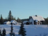 Gehft im winterlichen Lappland